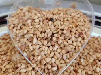Rosehip Seeds
